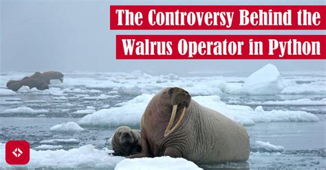 python walrus operator controversy